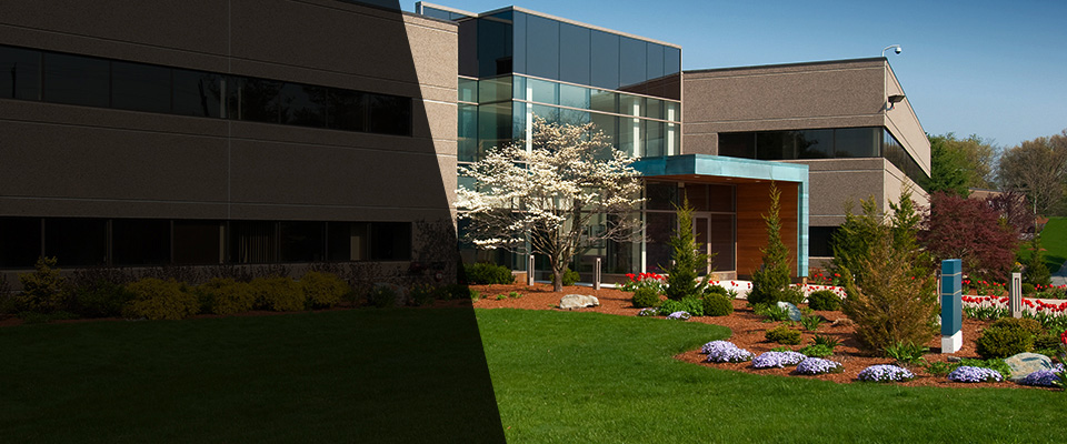 Larkspur Landscapers