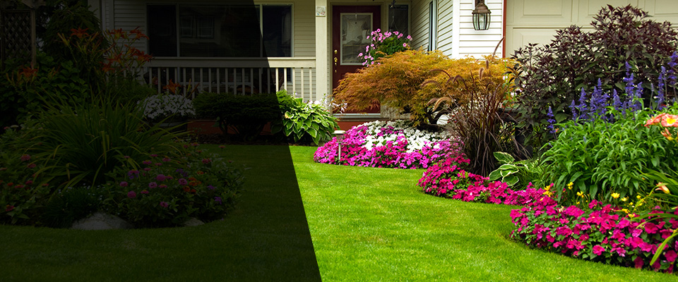 Larkspur Landscapers